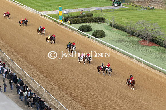z190125_SmartyJonesStakesDay_Manning_0020