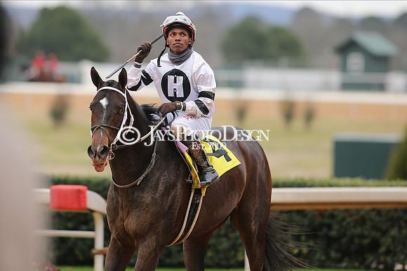 z210123_Fifth Season Stakes_Manning_0081