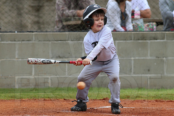 Bryant Fall Ball 9-13-2014 (©Justin Manning) JWM_134
