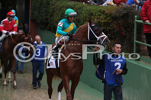 Oaklawn (Rebel Stakes Day) 3-14-2015 (©Justin Manning) JWM_159