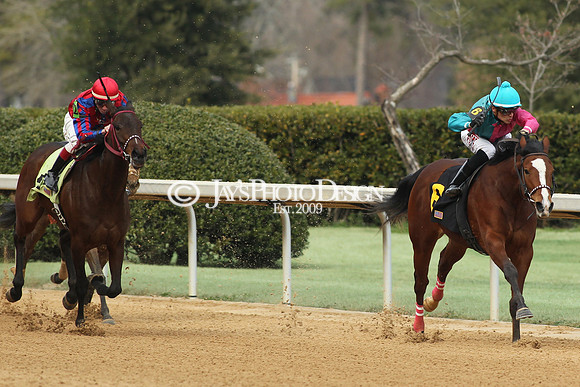 z190125_SmartyJonesStakesDay_Manning_0069