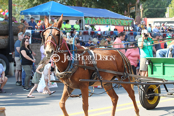Timberfest 10-5-19_0326