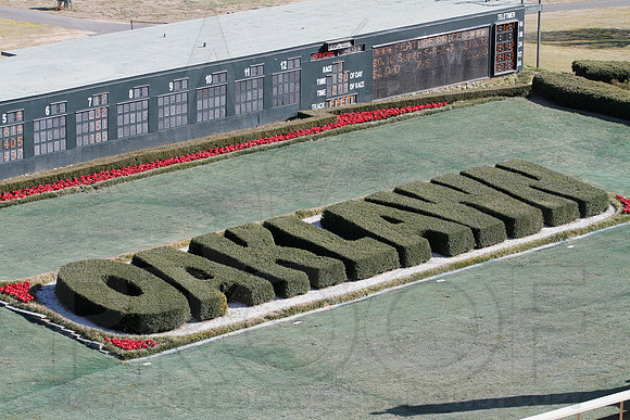 Smarty Jones Stakes 01-20-14 (©Justin Manning) JWM_0006