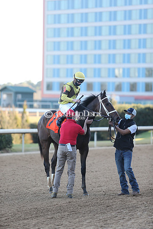 z210122_SmartyJonesStakesDay_Manning_0522