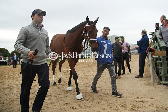 z200217_SouthwestStakesDay_Manning_3757