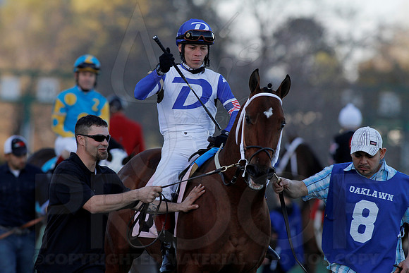 Smarty Jones Stakes 01-20-14 (©Justin Manning) JWM_0293