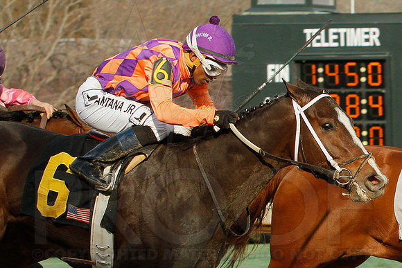 Honeybee Stakes (Grade III) 3-8-2014 (© Justin Manning) JWM_0296