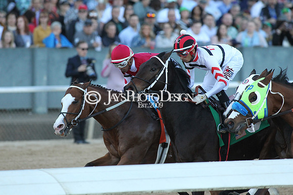 z190316_EssexStakes_Manning_0184