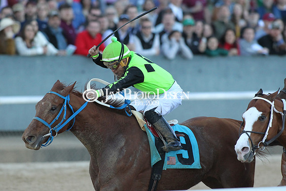 z190316_EssexStakes_Manning_0223