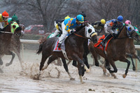 50th Running Southwest Stakes (Grade III) 2-22-2015 (©Justin Manning) JWM_125