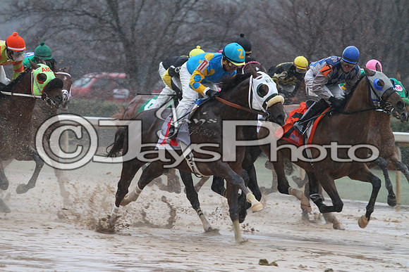 50th Running Southwest Stakes (Grade III) 2-22-2015 (©Justin Manning) JWM_125