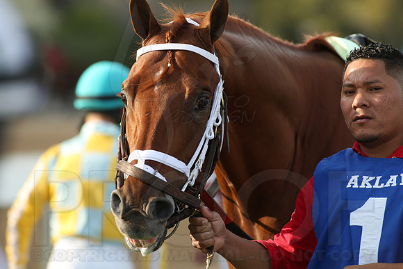 Arkansas Derby 4-12-2014 (© Justin Manning) JWM_0862