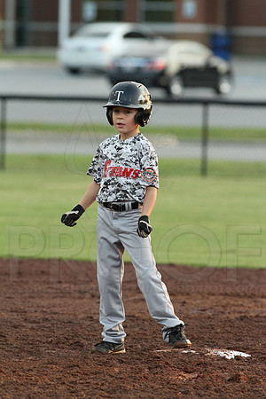 Benton vs. Madison County 8 year olds (Pastiche magazine) 7-18-2014 (©Justin Manning) JWM_062