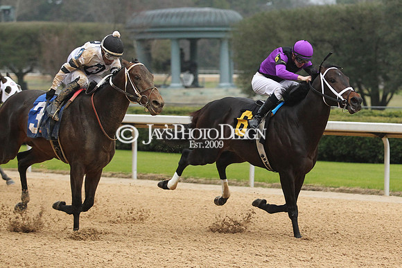 z200217_SouthwestStakesDay_Manning_3529