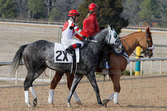 Oaklawn Park (Scenery) 1-26-14 (©Justin Manning) JWM_0084