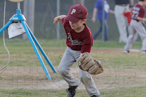 Phillies vs. Panthers 5-6 year old 5-6-2014 (© Justin Manning) JWM_0075