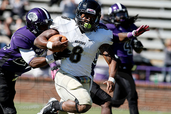 Harding @ OBU 10-19-13 (© Justin Manning) JWM0187