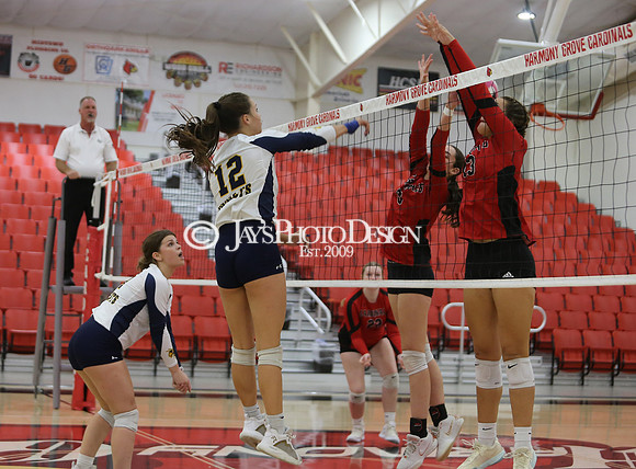 Wynne @ Harmony Grove 10-8-24_JWM_0258