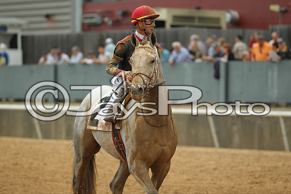 Southwest Stakes (GradeIII) 2-20-17_JWM00964