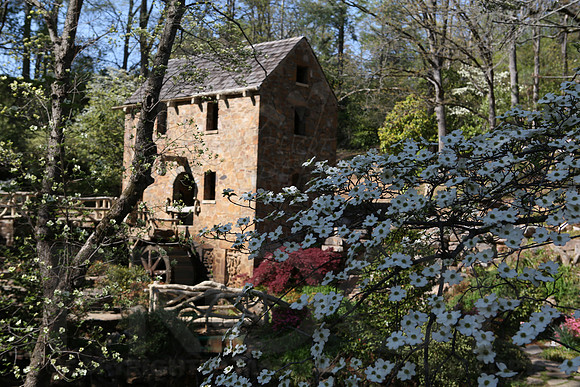 Old Mill 4-10-14 4-10-2014 (© Justin Manning) JWM_0029