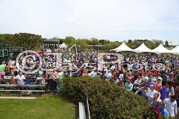 Arkansas Derby Day 4-11-2015 (©Justin Manning) JWM_0426