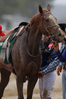 Oaklawn (Rebel Stakes Day) 3-14-2015 (©Justin Manning) JWM_074
