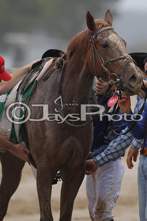 Oaklawn (Rebel Stakes Day) 3-14-2015 (©Justin Manning) JWM_074