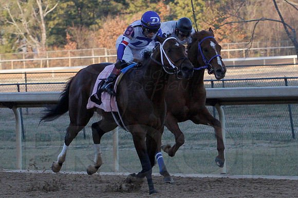 Smarty Jones Stakes 01-20-14 (©Justin Manning) JWM_0414