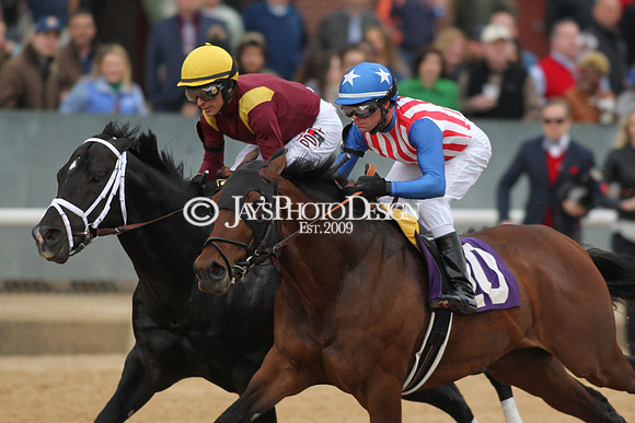 z190218_SouthwestStakesDay_Manning_743