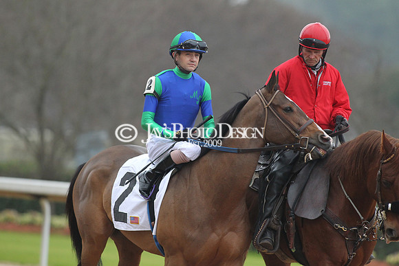 z200217_SouthwestStakesDay_Manning_0321