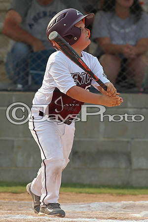 Benton vs. Hamburg 6 year old All Stars 6-29-2015 (©Justin Manning) JWM_0047