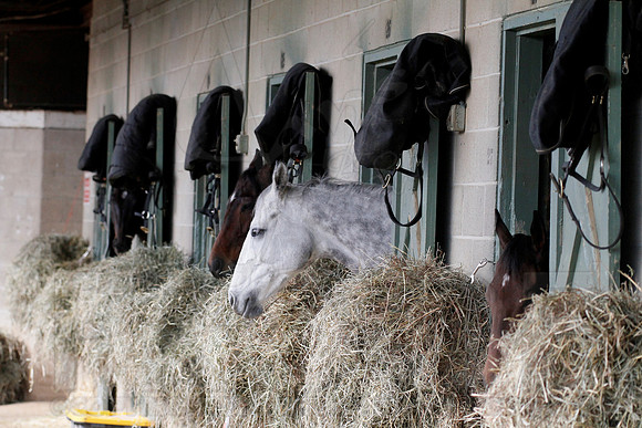 Oaklawn 1-11-13 (Justin Manning)0026