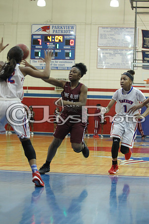 Pine Bluff @ LR Parkview JWM_0115