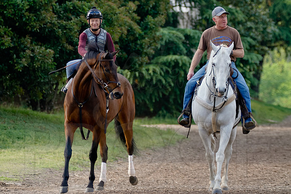 Morning Workouts (Arkansas Derby) 2