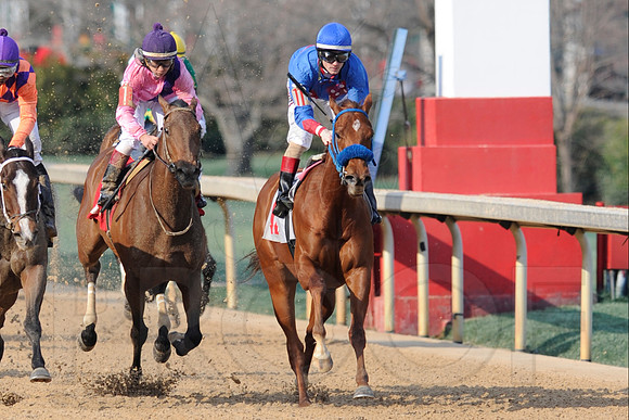 Honeybee Stakes (Grade III) 3-8-2014 (© Justin Manning) JWM_1407
