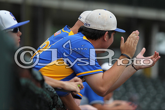 6A State Baseball Finals Benton vs. Sheridan 5-23-2015 (©Justin Manning) JWM_0507
