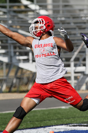 1st Annual James King 7 on 7 (Malvern) (� Justin Manning) JWM0080