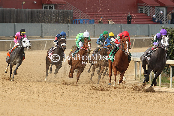 z190218_SouthwestStakesDay_Manning_012