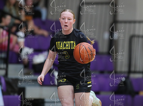 Evolution vs. Prolific Elite (AAU High School Girls Basketball) 4-26-25_JWM_0338