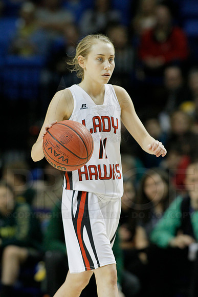 1A Girls State Finals-Nemo Vista vs. Wonderview 3-14-2014 (© Justin Manning) JWM_0210
