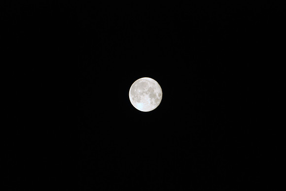 DSC_0025