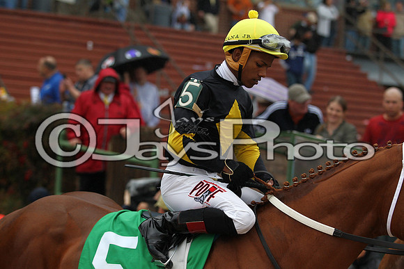 Oaklawn (Rebel Stakes Day) 3-14-2015 (©Justin Manning) JWM_200