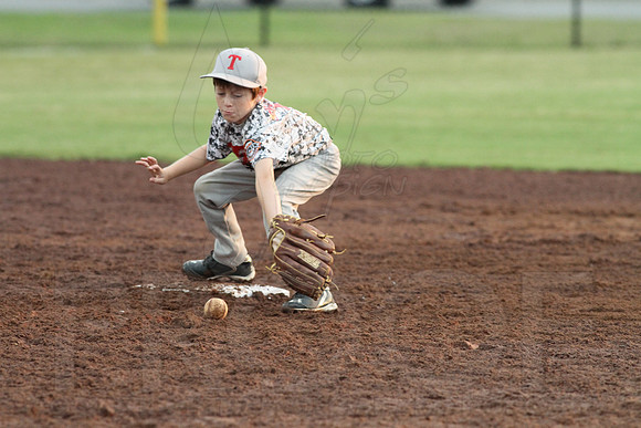 Benton vs. Madison County 8 year olds (Pastiche magazine) 7-18-2014 (©Justin Manning) JWM_018