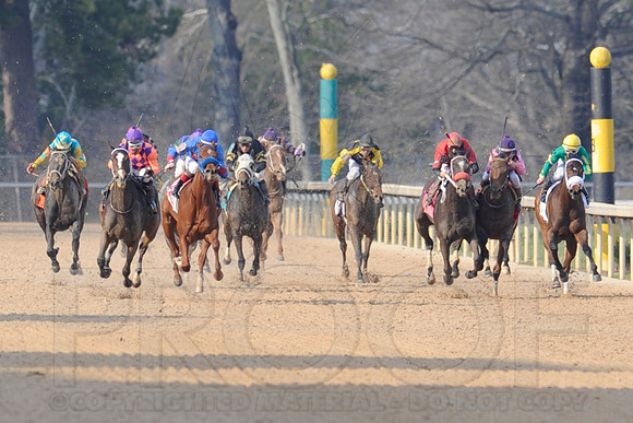 Honeybee Stakes (Grade III) 3-8-2014 (© Justin Manning) JWM_1390