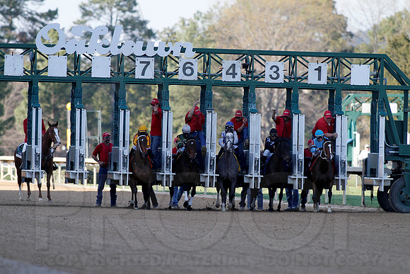 Azeri Stakes 3-16-13 (© Justin Manning) JWM0191