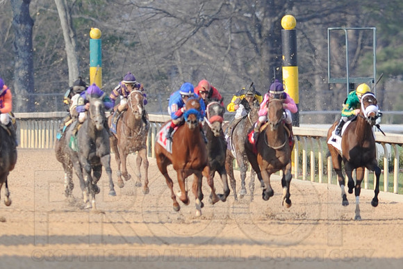 Honeybee Stakes (Grade III) 3-8-2014 (© Justin Manning) JWM_1394
