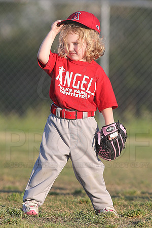 White Sox vs Angels 4-22-13 (©Justin Manning) JWM0192