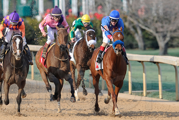 Honeybee Stakes (Grade III) 3-8-2014 (© Justin Manning) JWM_1400