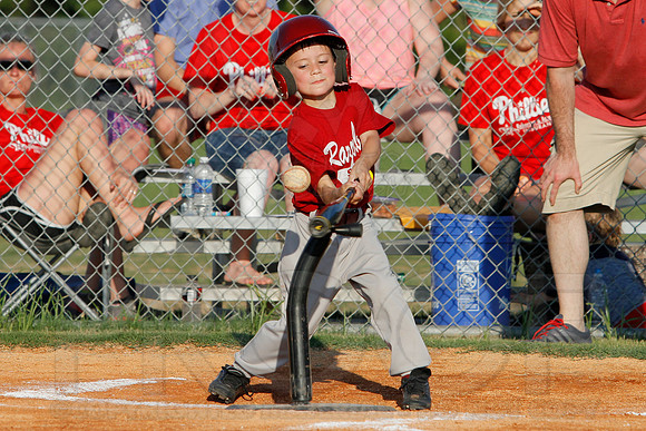 Phillies vs. Razorbacks 5-6 year old baseball 6-3-2014 (© Justin Manning) JWM_0200