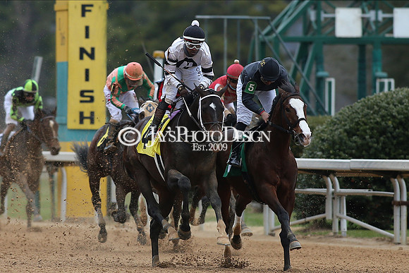z210123_Fifth Season Stakes_Manning_0044